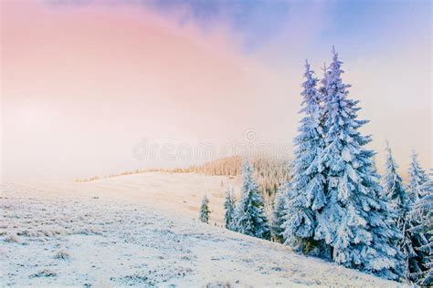 Wonderful Winter Landscape Stock Photo Image Of Frost 66451896
