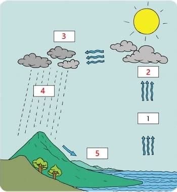 Soal Latihan Kls Iii Sd Materi Proses Terjadinya Hujan Materi Soal
