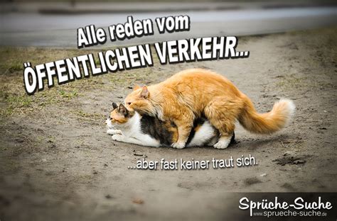 Lustige sprüche und witze haben wir hier für dich gesammelt… nur die besten natürlich ? Lustiger Spruch mit Katzen über öffentlichen Verkehr ...