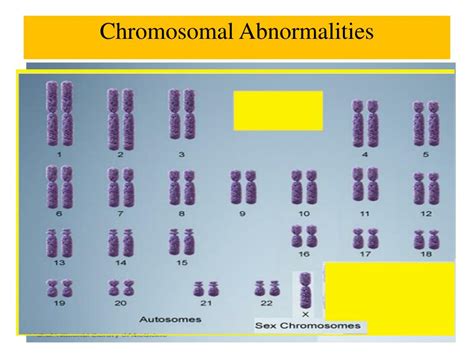 What Are The Four Chromosomal Abnormalities