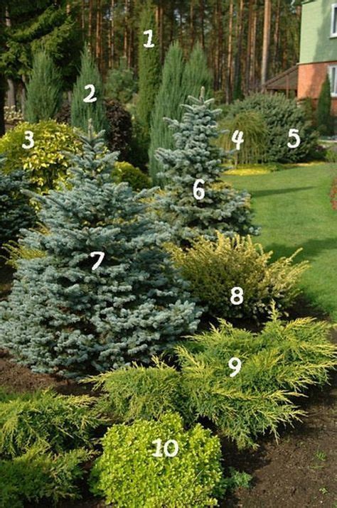 Intro to front yard landscaping. how to landscape your front yard yourself # ...