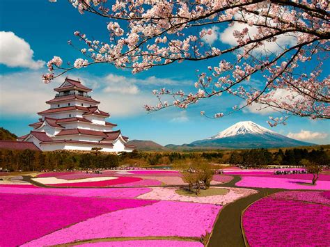 Hakone - Monte Fuji - Yoitabi Travel