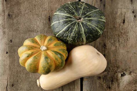 Maybe you would like to learn more about one of these? Squash vs Zucchini - Difference and Comparison | Diffen