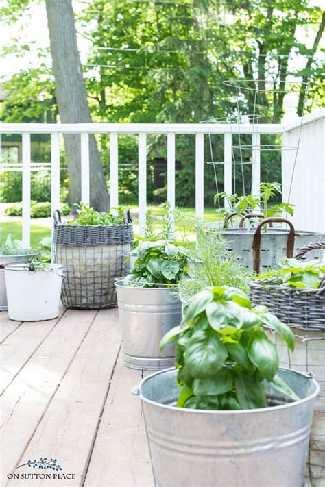 Grow Your Own Herbs With These Container Herb Garden Ideas Easy Tips