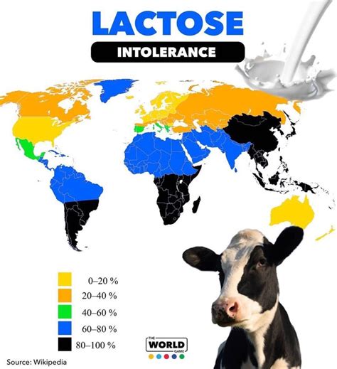 Lactose Intolerance By Percent Of The Population Vivid Maps