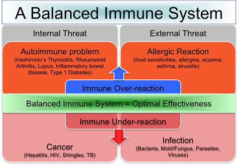 what is the immune system
