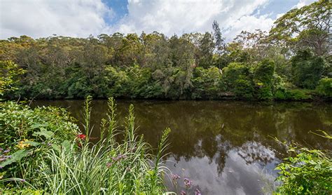 Lane Cove National Park Learn More Nsw National Parks