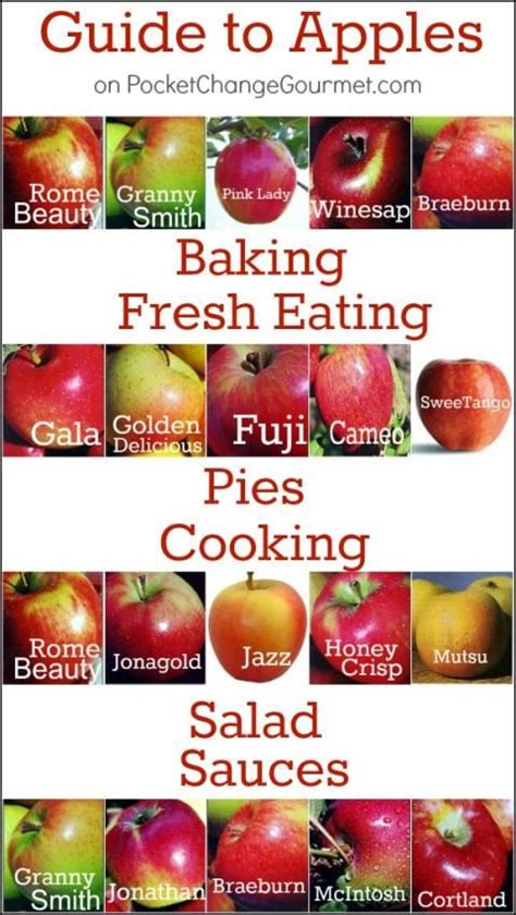 Most Popular 18 Types Of Apples And Their Uses Cooking Tips Apple