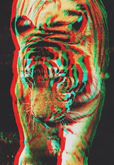 Trippy Tiger Trippy Cartoon Cute Backgrounds Unnatural Bright Color