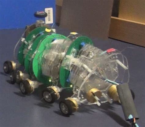Robotic Snake Could Speed Search And Rescue Missions Innovate