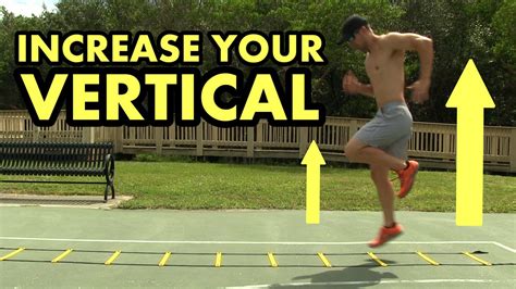 Increase Your Vertical Jump And Quickness Agility Ladder