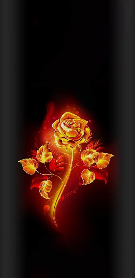 Pin By Marzena Kacz On Roses Wallpaper 2 Rose Wallpaper Flower