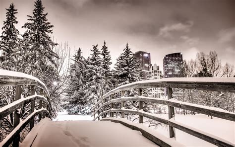 Calgary Winter Wallpapers Top Free Calgary Winter Backgrounds