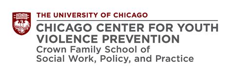 About Youth Violence Chicago Center For Youth Violence Prevention