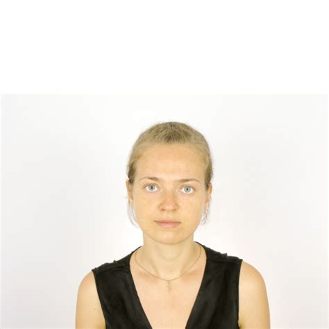 Dr Olga Ilina Lead Application Engineer Ansys Germany Gmbh Xing