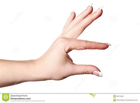 Hand gesture of woman stock photo. Image of human, race - 23570956