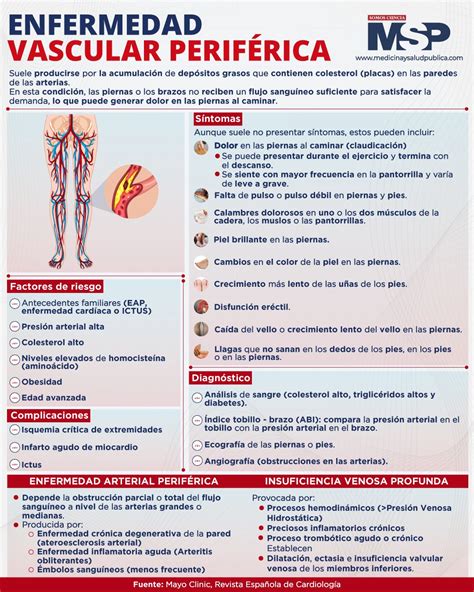Enfermedad Vascular Periferica Infograf A By Msp Med Tac International Corp