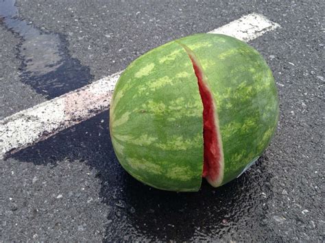 YEP, I DROPPED MY WATERMELON - What About Watermelon?