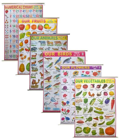 Early Learning Educational Laminated Charts For Kids 100x75 Cm