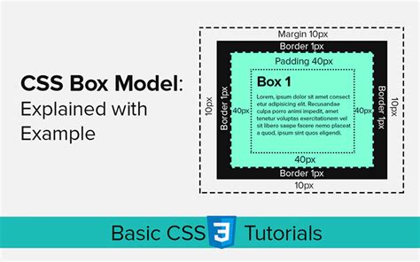 CSS Box Model Explained With Example WebCodzing