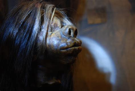 Shrunken Head Oxford Pitt Rivers Museum Carlos Felipe Pardo Flickr