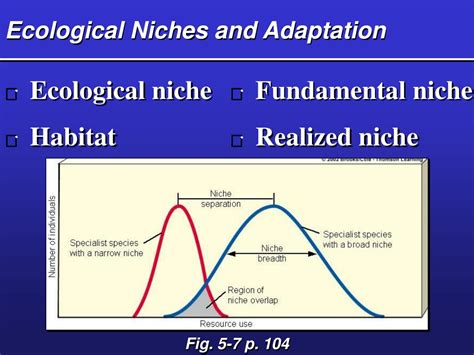 Ppt Evolution And Biodiversity Origins Niches And Adaptations