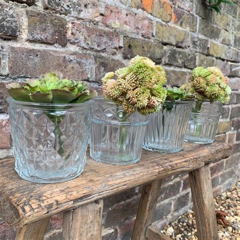 Vintage Style Glass Flower Pots Four Assorted Designs Two Sizes