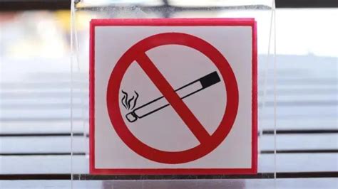 New Zealand Smoking Ban Bryancameryn