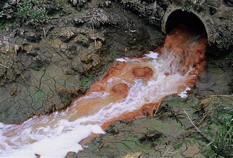 Water Pollution Photograph By Robert Brookscience Photo Library