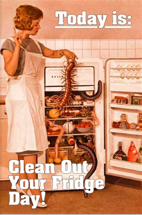 Checkout happy friday memes who give you joy, fun, happy life, and it makes us laughed. Today is "Clean Out Your Fridge Day" | Dull Men's Club