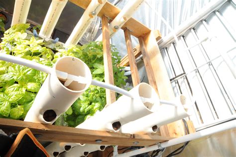 Pumps and tubing, plus discounted grow lights that will guarantee a healthy harvest. DIY Vertical Aquaponics System - GROZINEGROZINE