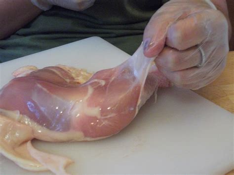 The skeletal system,smofried buffalo wings,how to dissect a chicken leg and more. Biology : Chicken Leg Dissection Lab