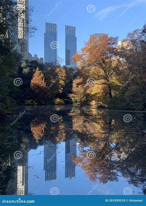 Central Park In The Autumn New York City Usa Stock Photo Image Of