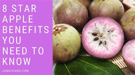 8 Star Apple Benefits You Need To Know Jamaicans And Jamaica