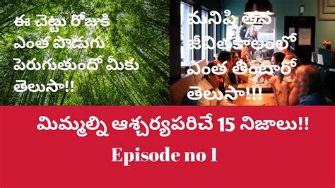 most interesting and unknown facts in telugu letsbadi youtube