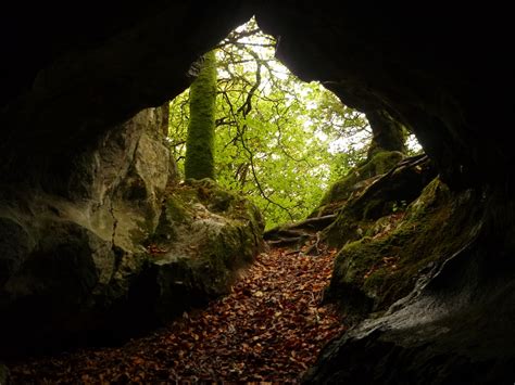 Cave Entrance Photo Sean Fagan Yew Wood Cave Entrance Tree
