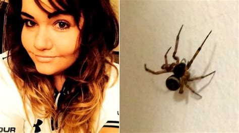 False Widow Spider Blamed For Awful Bites Suffered By 2 Women In Same Town Mirror Online
