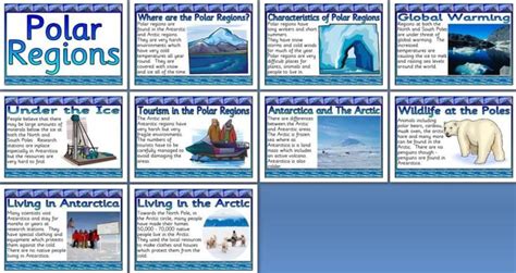 Geography Posters Ks2 World Climates Polar Regions World Climates