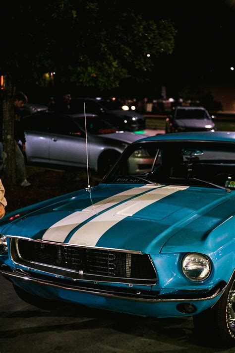 acooper63's Site | Just another Georgia State University site