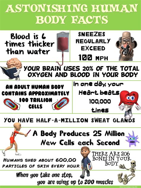Health And Science Poster Astonishing Human Body Facts Human Body