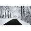 Winter Snow Backgrounds  Wallpaper Cave