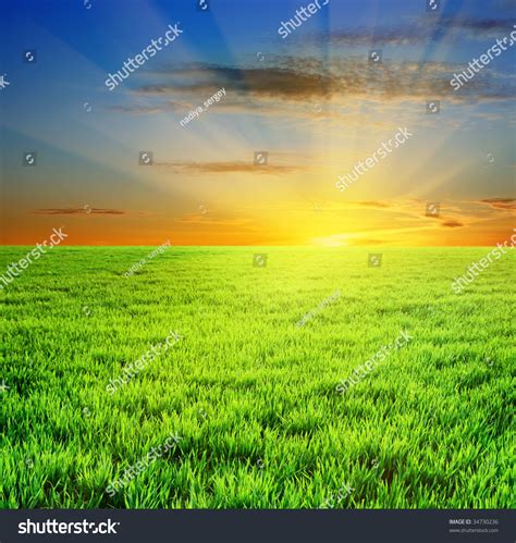 Green Grass And Beautiful Sunset Stock Photo 34730236 Shutterstock