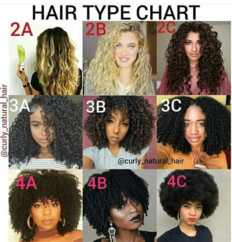 Pin By Akshea On Crown Natural Hair Types Hair Type Chart Curly