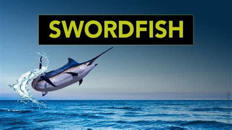 10 Interesting Swordfish Facts