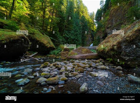 Hiking Along Tanner Creek To Wahclella Falls In The Columbia River