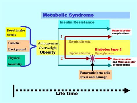 The Relationship Between Metabolic Syndrome Insulin Resistance