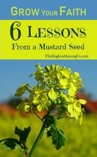 How do you germinate seeds indoors? How do you grow your faith? Let six lessons from the ...