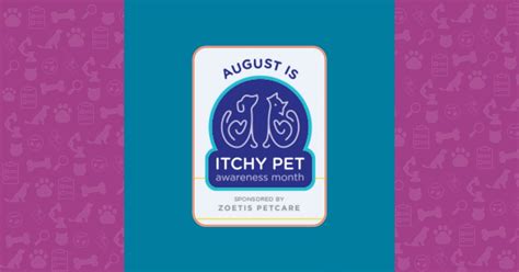 August Is Itchy Pet Awareness Month Time To Get Ready The Derm Vet