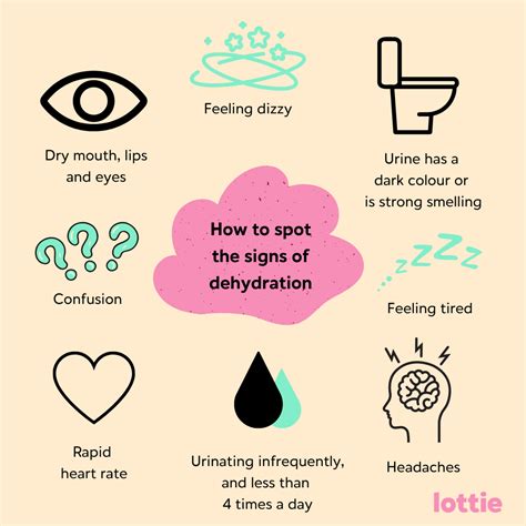 Symptoms Of Dehydration In The Elderly Key Signs Lottie