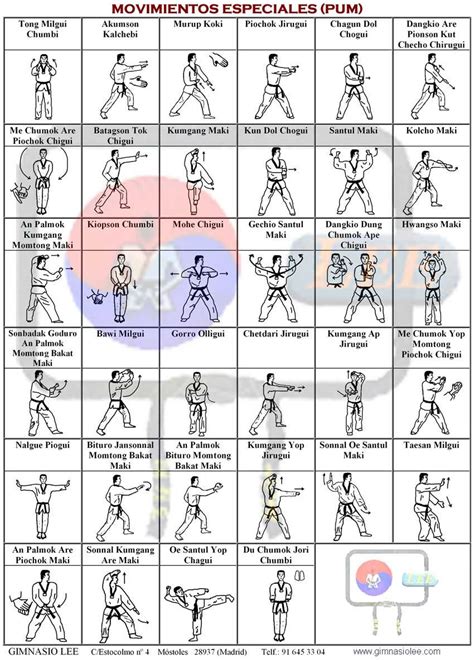 Taekwondo Action Poses Wait What Language Is This In